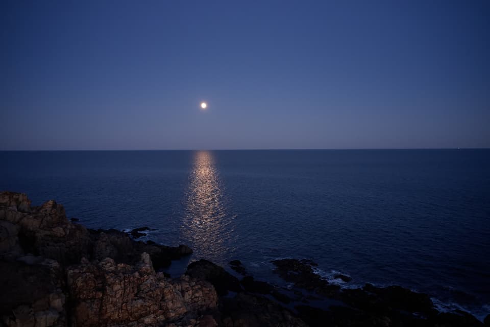 Moon Ocean